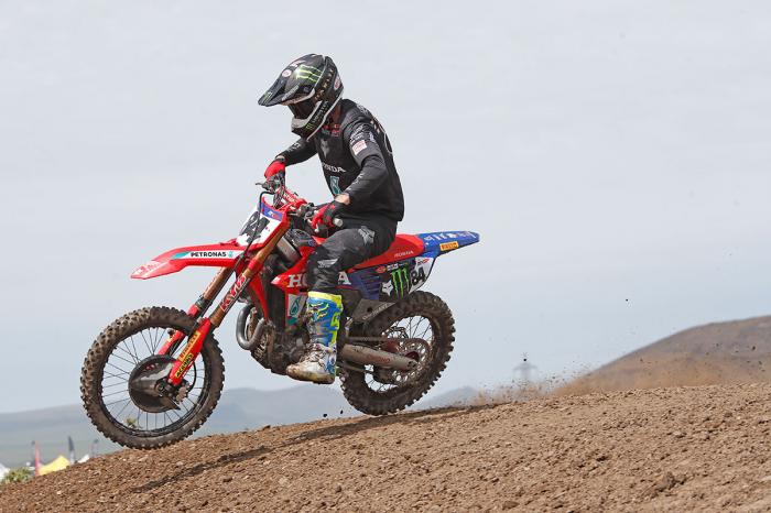 MXGBHerlings.jpg