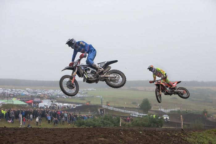 Mewse-leads-herlings.jpg