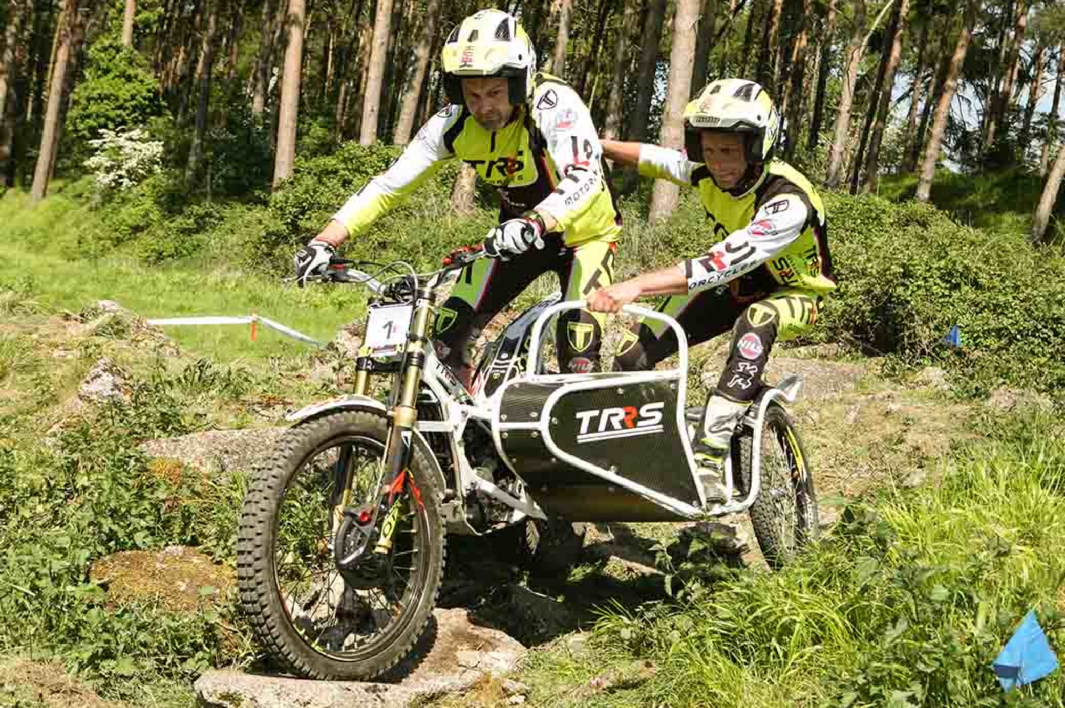 mountain bike sidecar